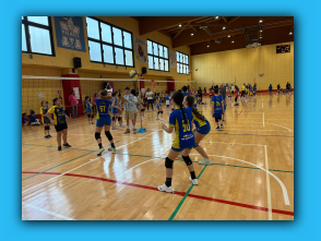 Volley S3 Malnate 26.04.26 (35).jpg